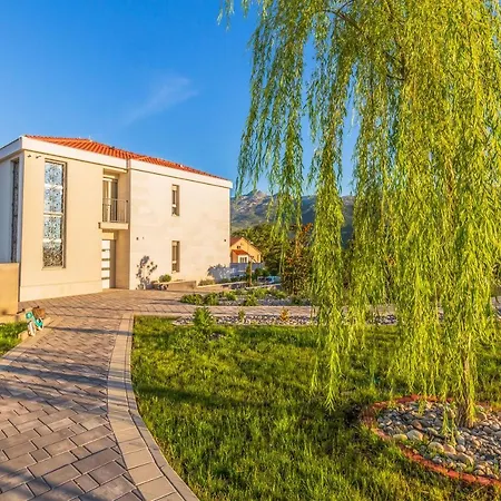 Salvia - New, Modern Near Split
