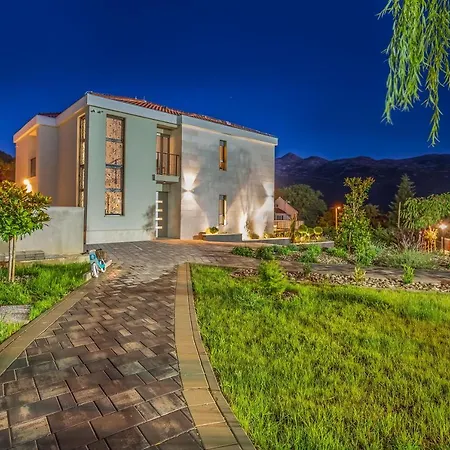 Salvia - New, Modern Near Split *